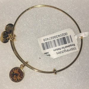 Alex and Ani November Birth Month Charm Bangle